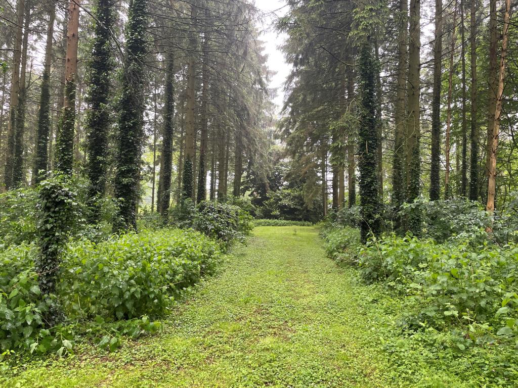 Lot: 125 - APPROXIMATELY 1.4 ACRES OF LAND WITH TWO BUILDINGS - View from access gate